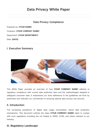 Free Data Privacy White Paper Template to Edit Online