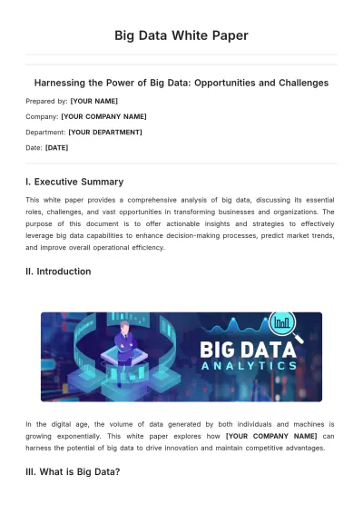 Free Big Data White Paper Template to Edit Online