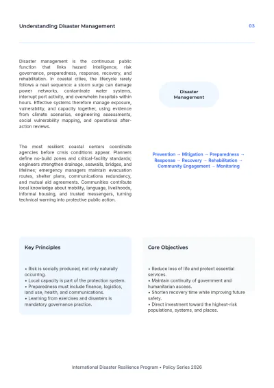 Free Disaster Management White Paper Template to Edit Online