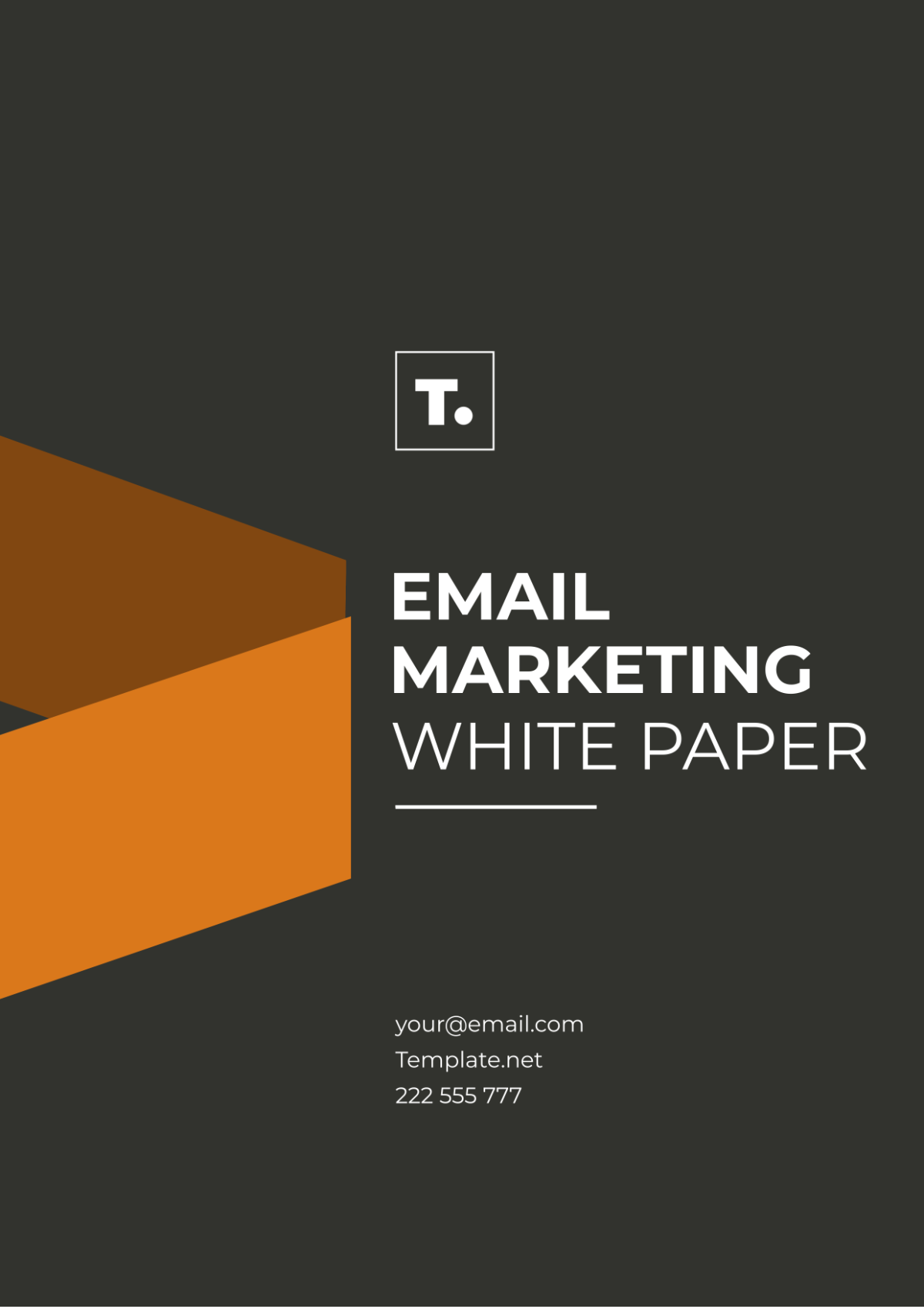 Email Marketing White Paper Template