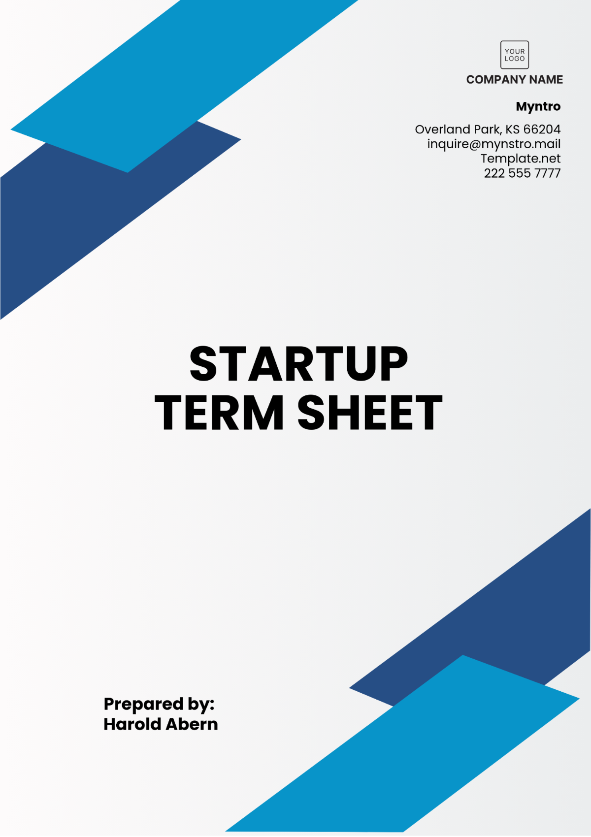 Professional Startup Term Sheet Template