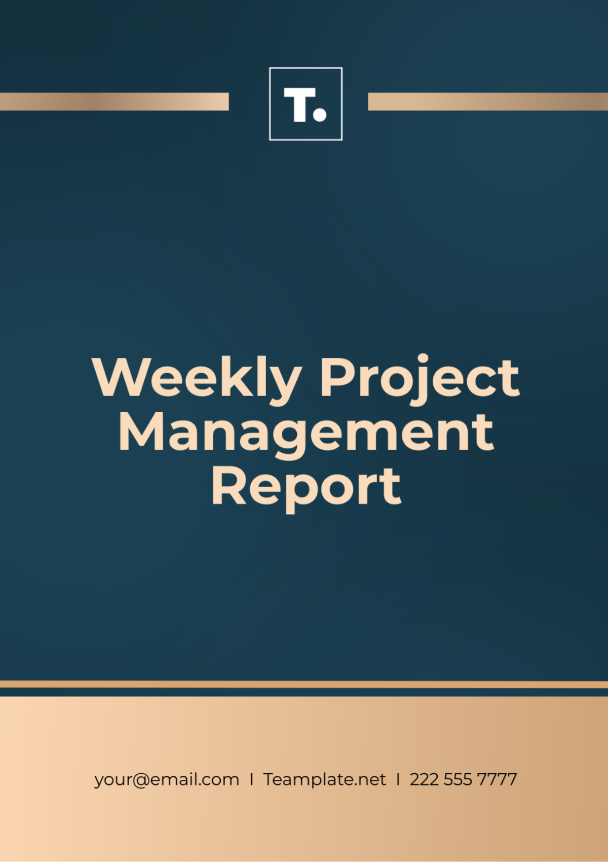 Weekly Project Management Report Template