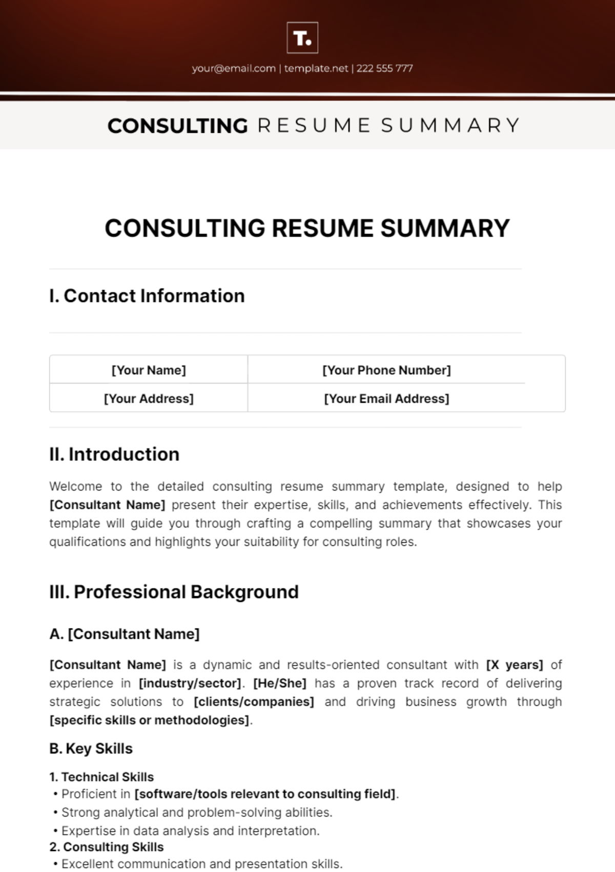 Consulting Resume Summary Template