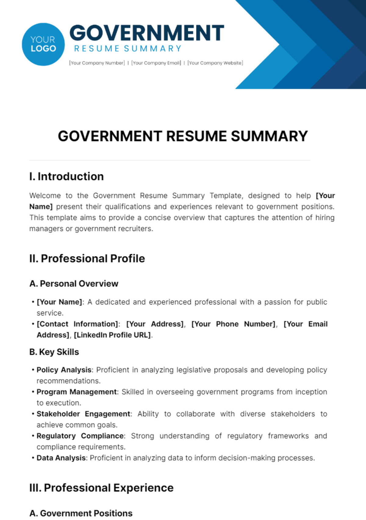Government Resume Summary Template