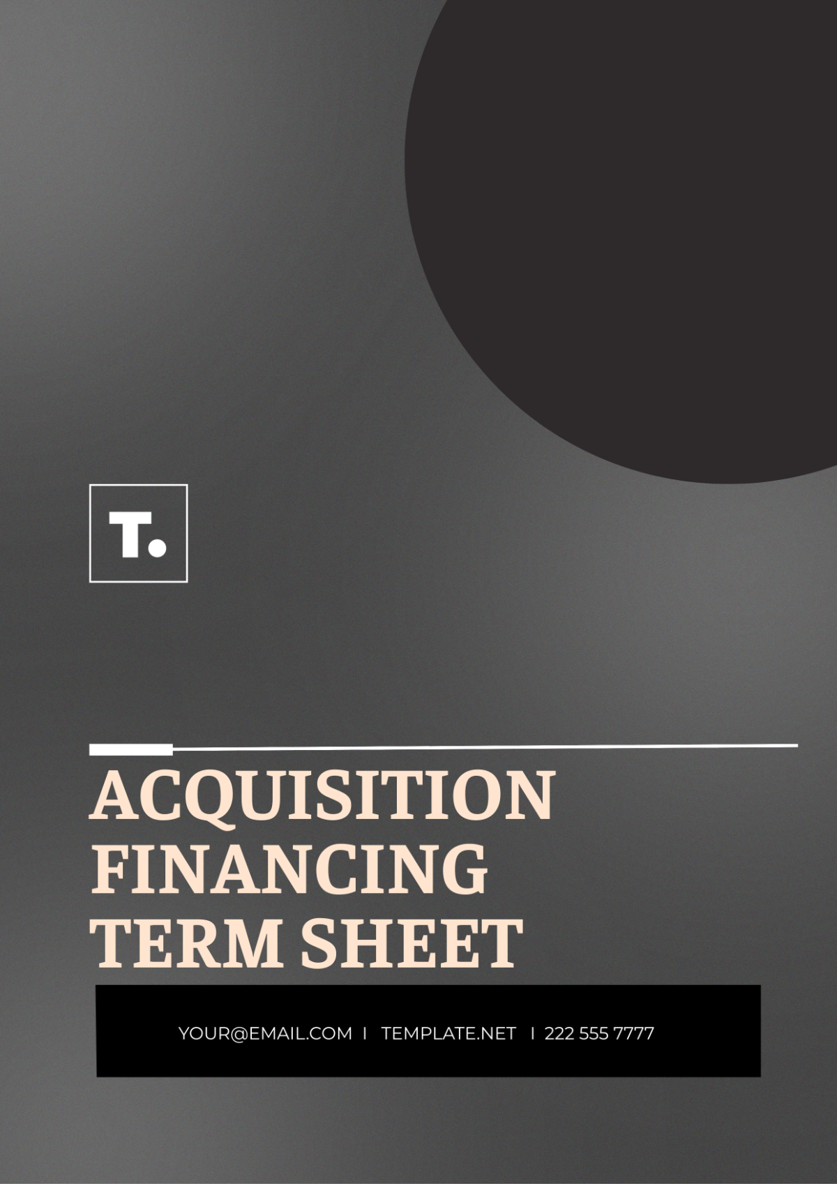 Acquisition Finance Term Sheet Template