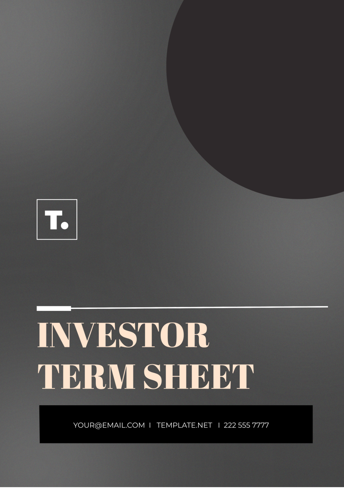 Investor Term Sheet Template