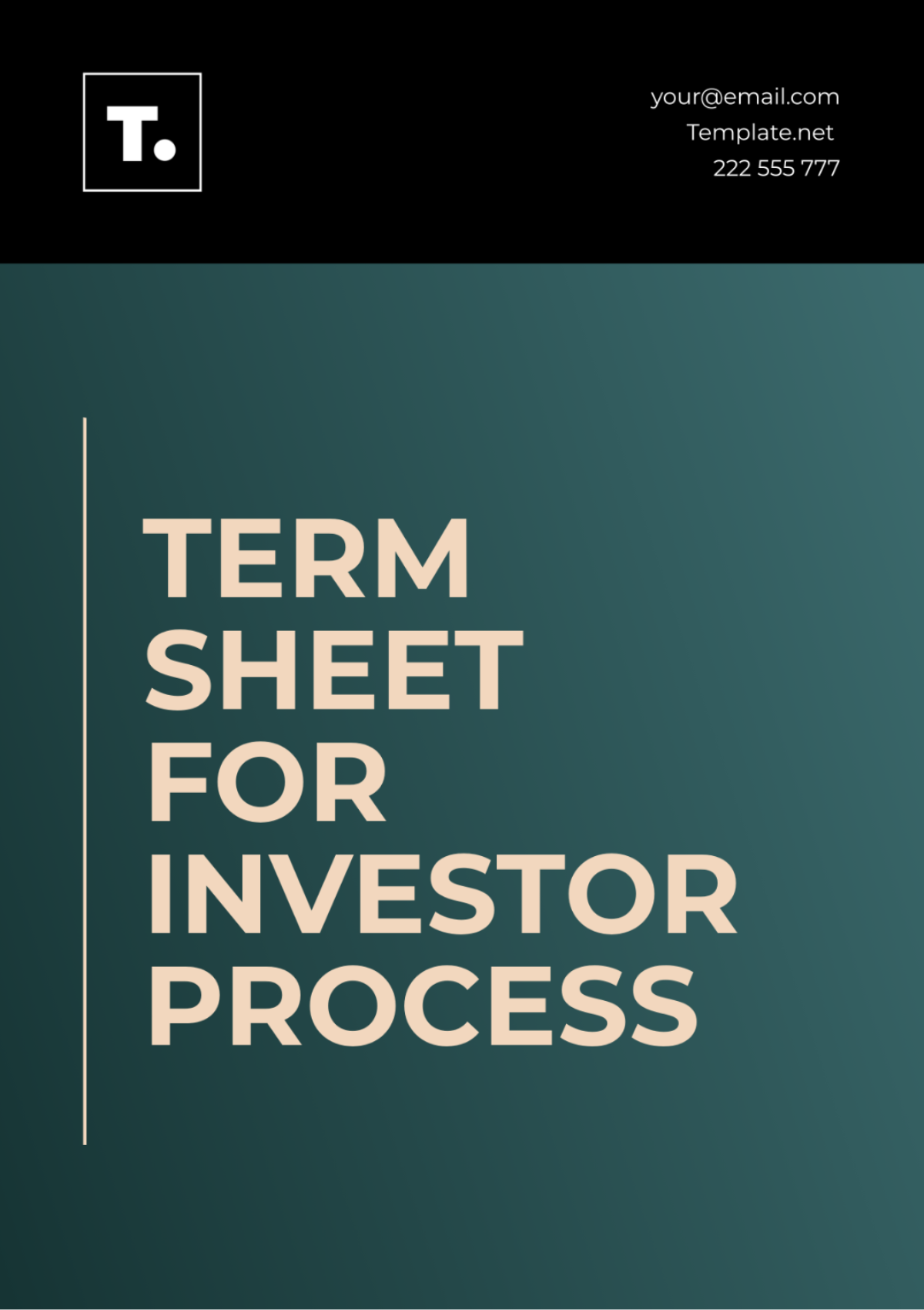 Term Sheet for Investor Process Template