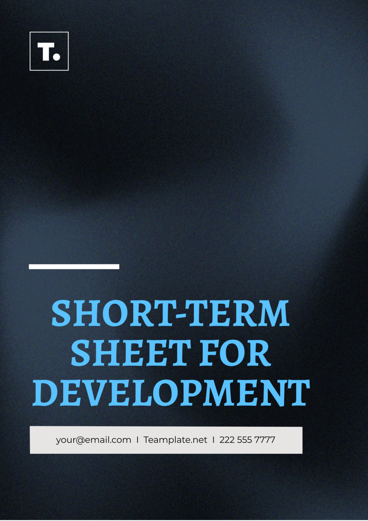 Short Term Sheet for Development Template