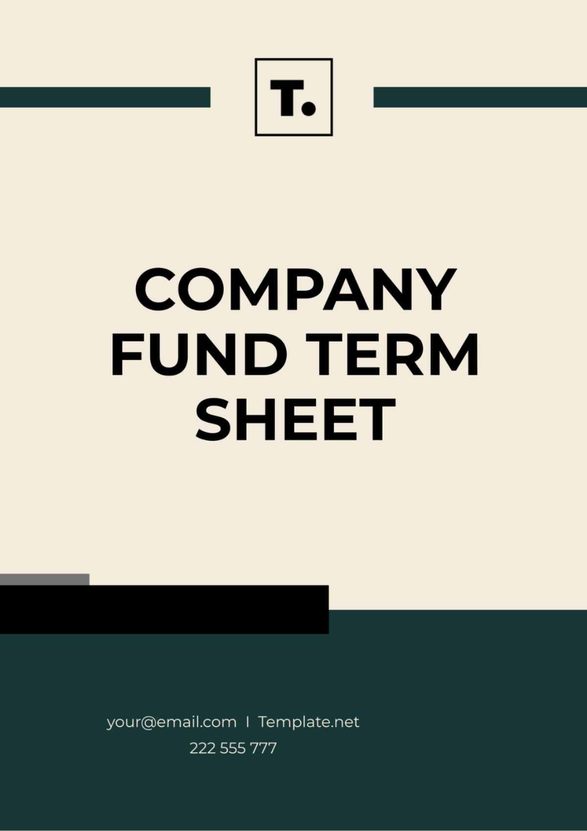 Company Fund Term Sheet Template