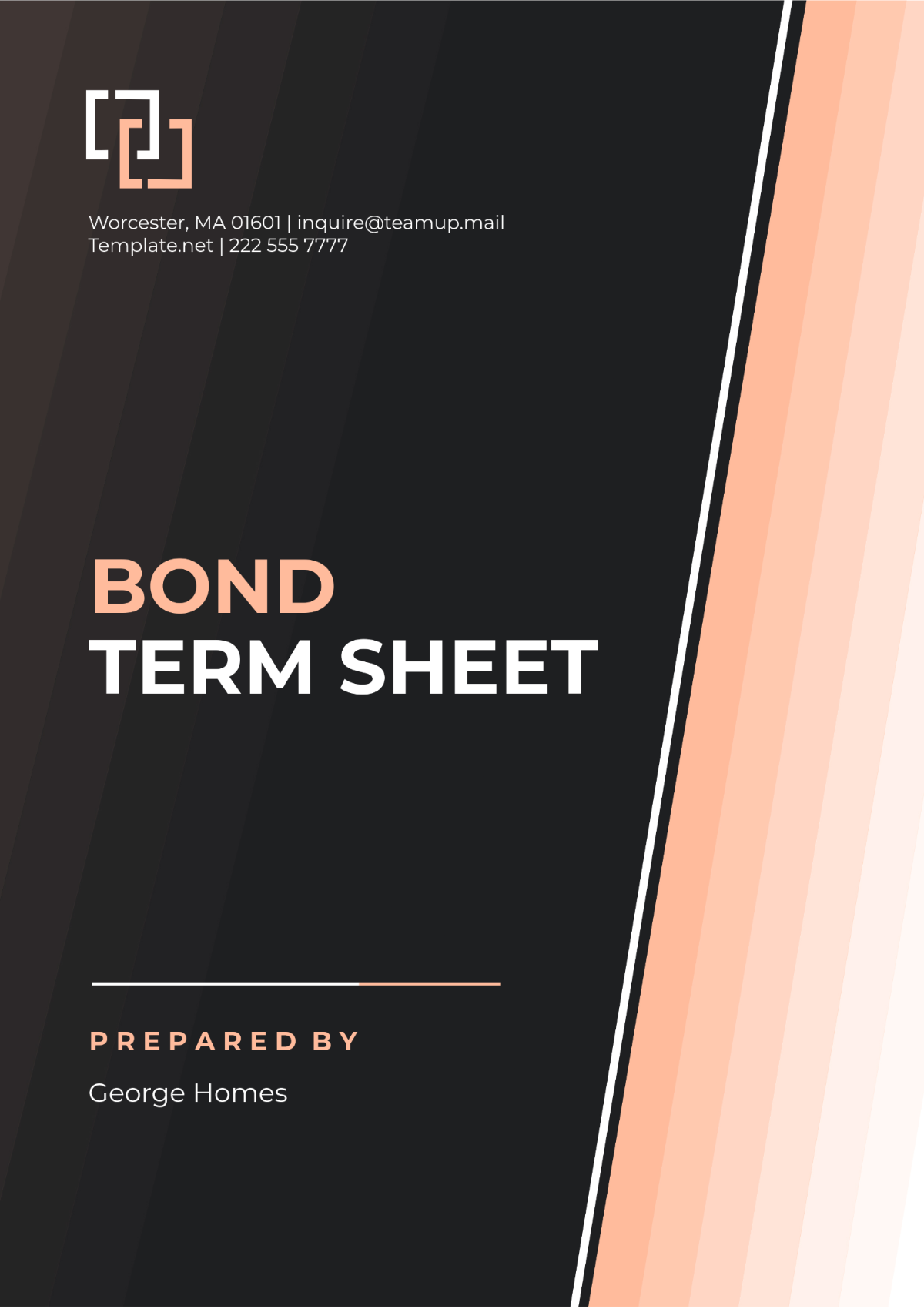 Bond Term Sheet Template