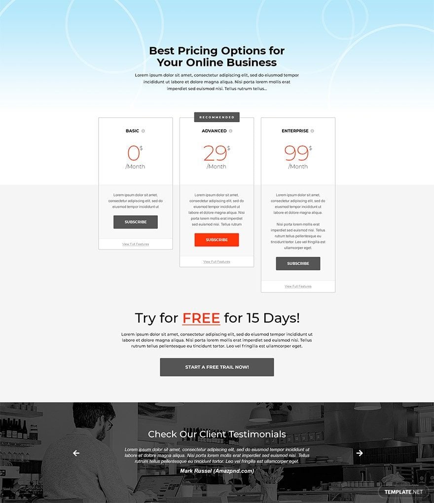 Services SaaS Pricing Page Template