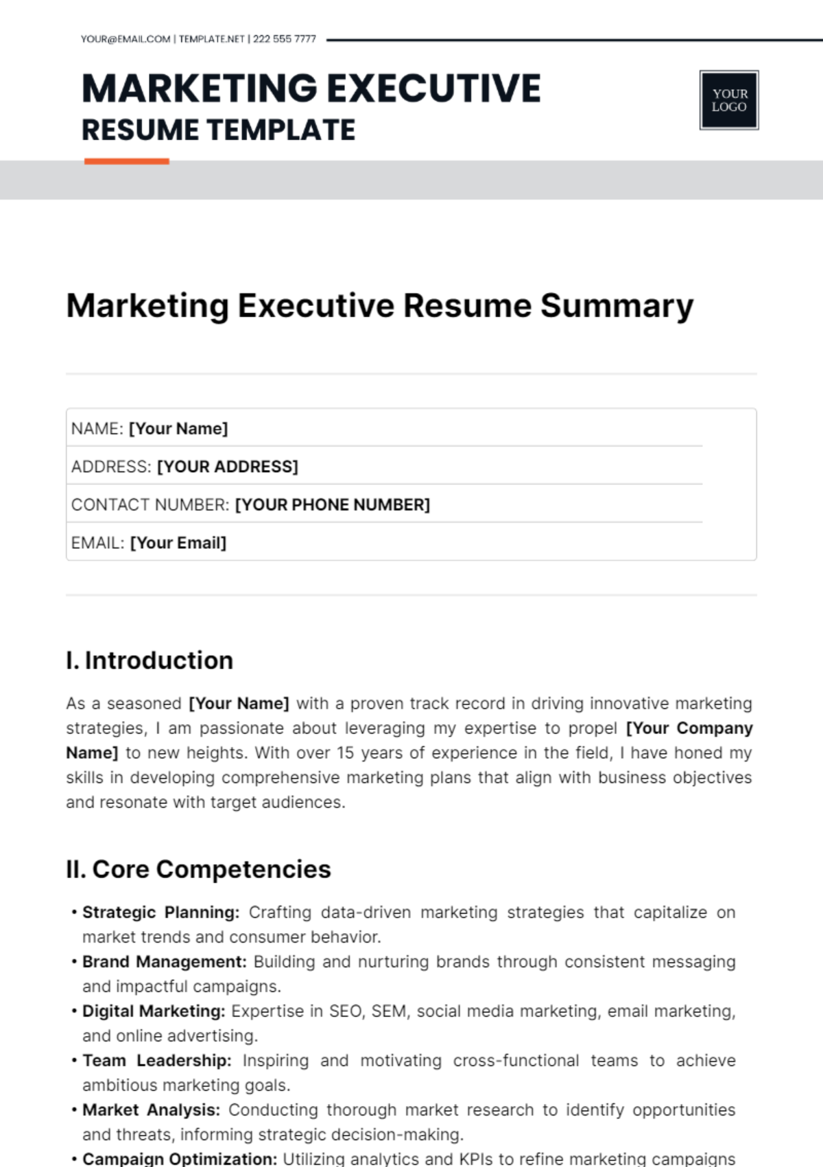 Marketing Executive Resume Summary Template
