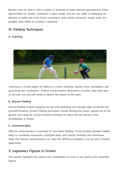 Free Cricket Article Template to Edit Online