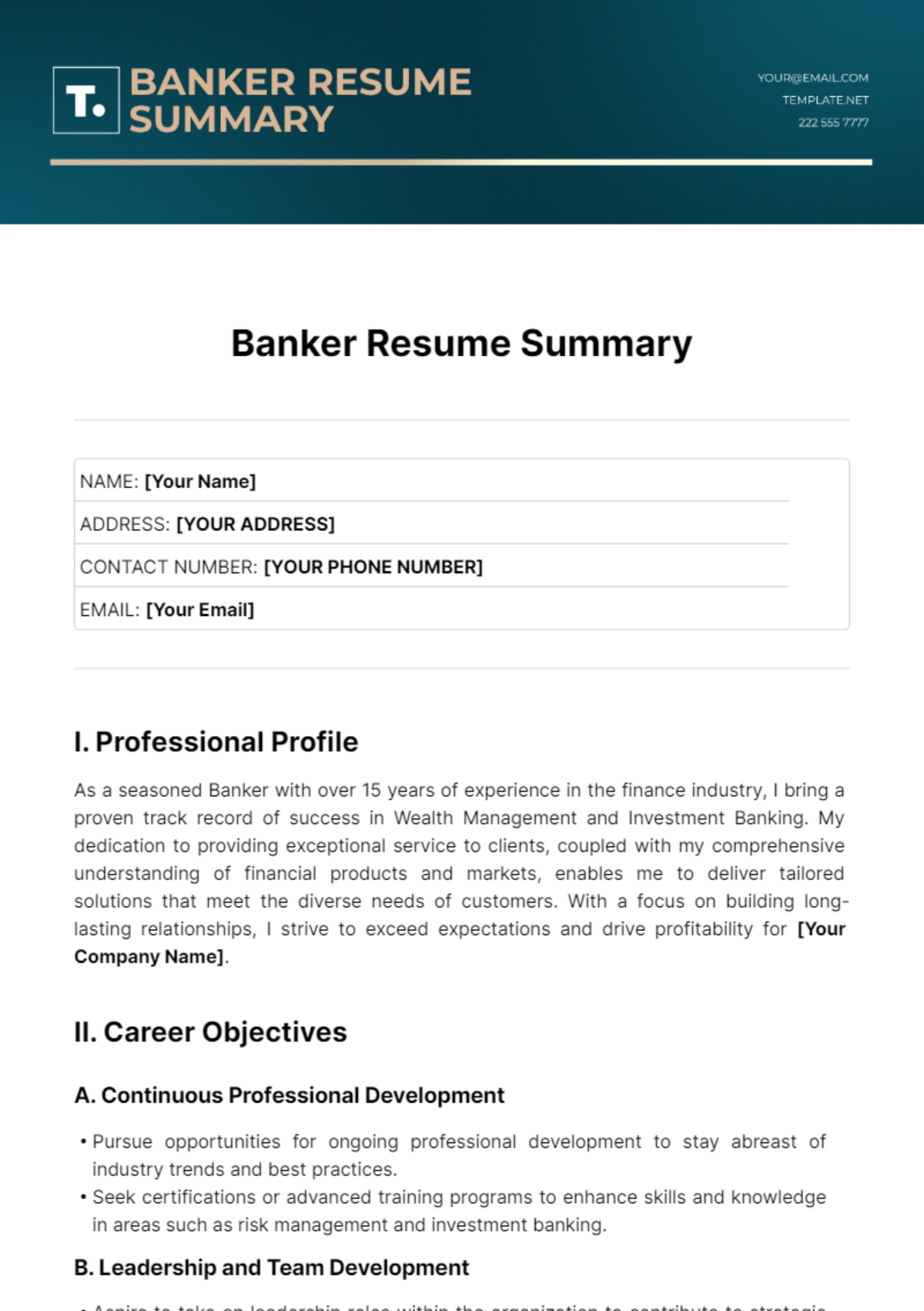 Banker Resume Summary Template