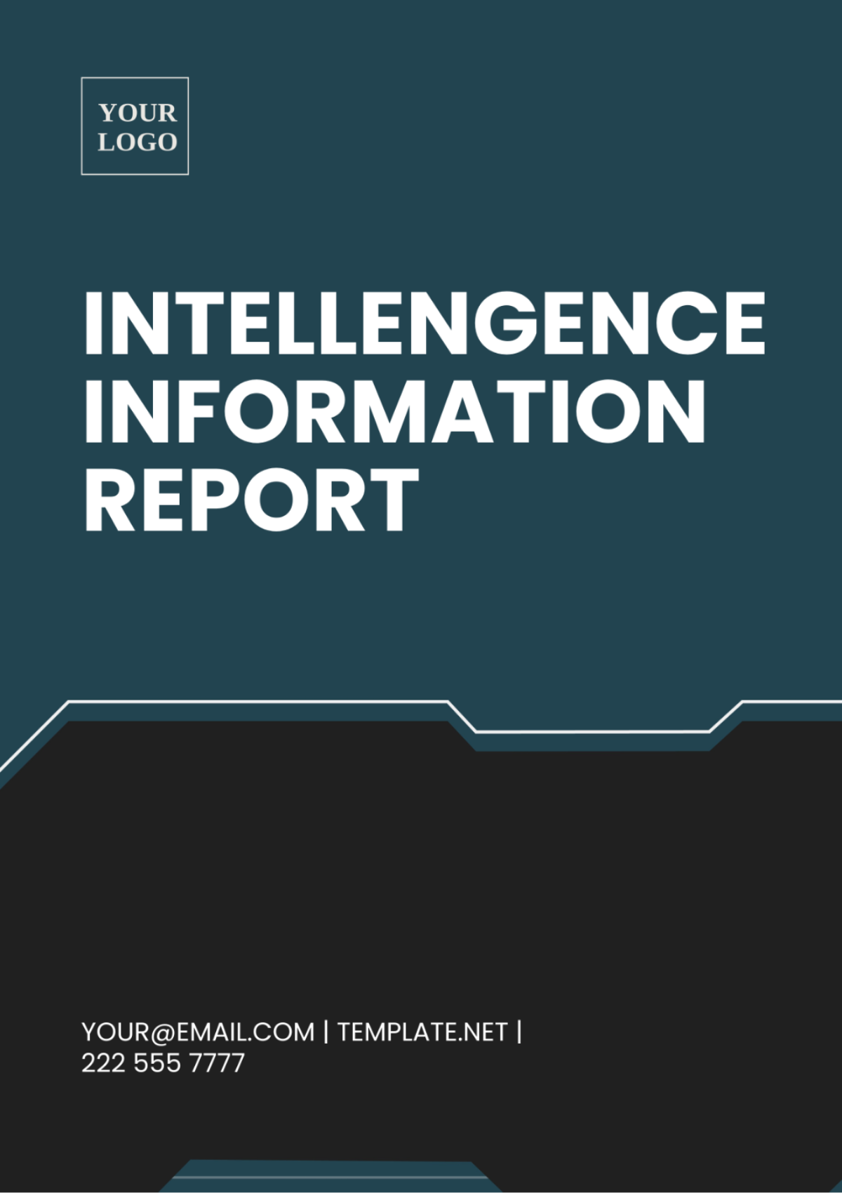 Intelligence Information Report Template