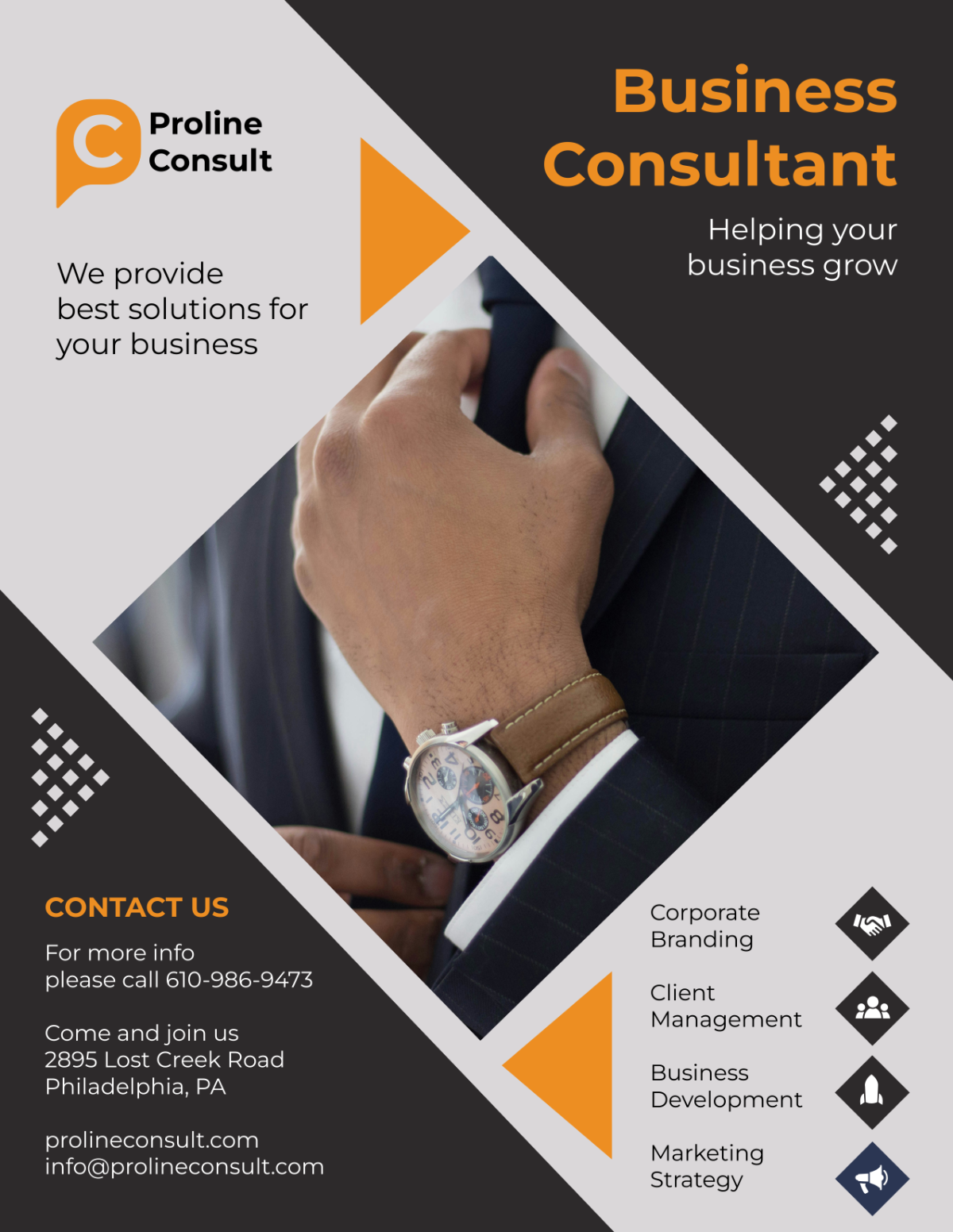 Business Consultant Leaflet
