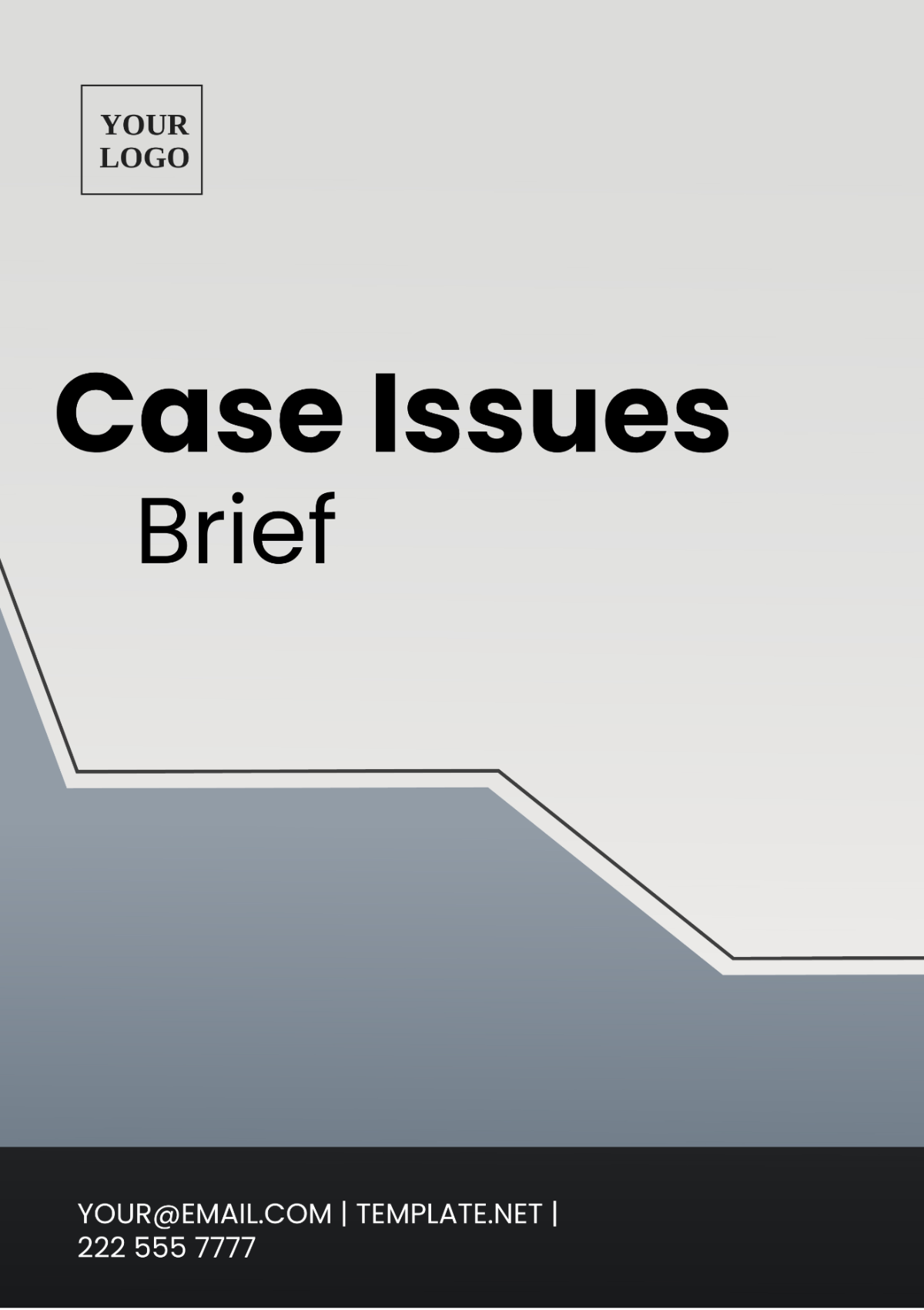 Case Issues Brief Template