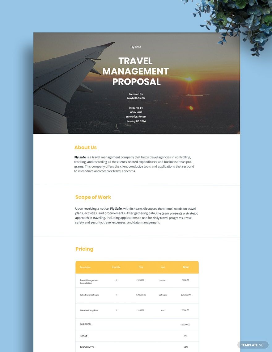 Travel Management Proposal Template