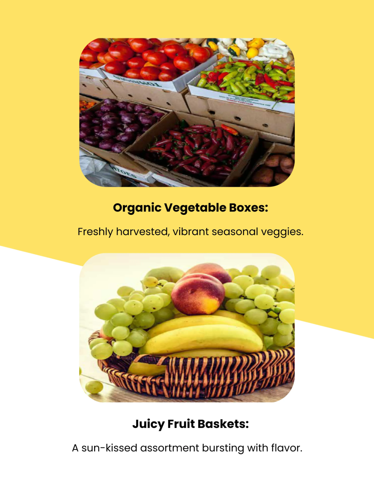 Free Leaflet Layout Template to Edit Online