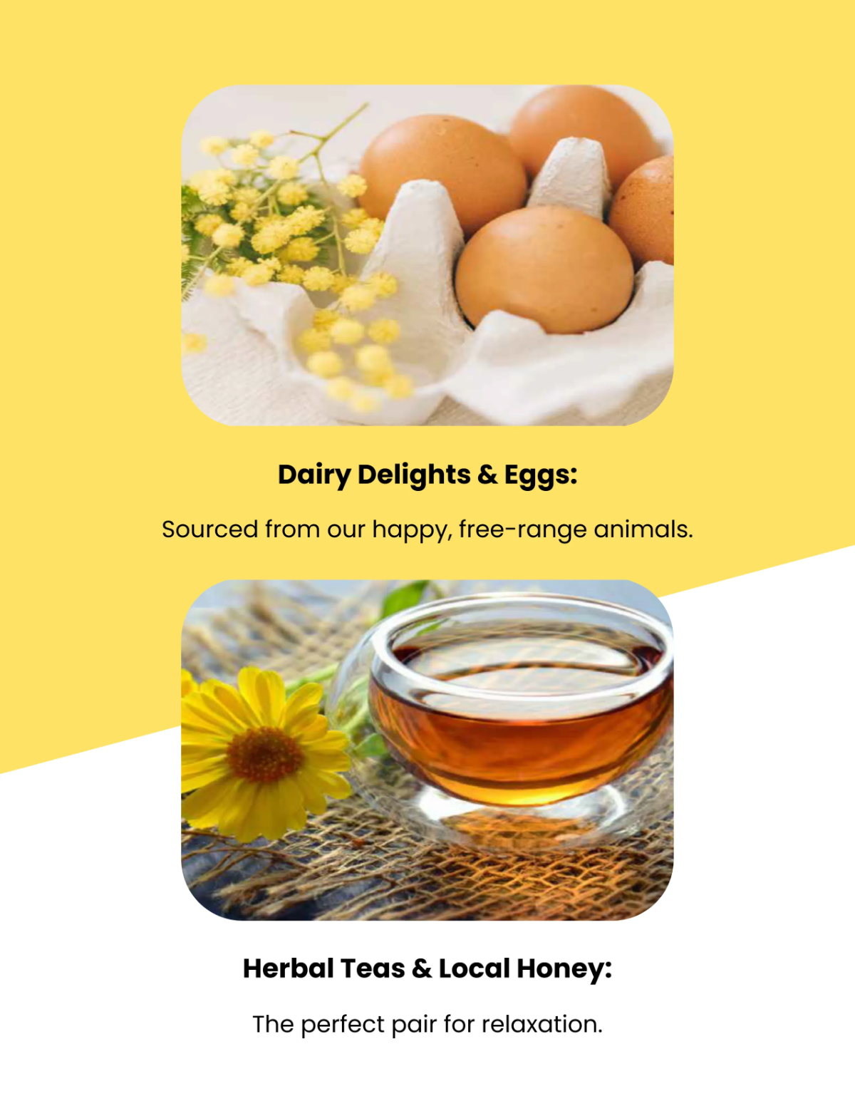 Free Leaflet Layout Template to Edit Online