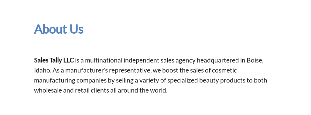 Sales Agency Proposal Template 2.jpe