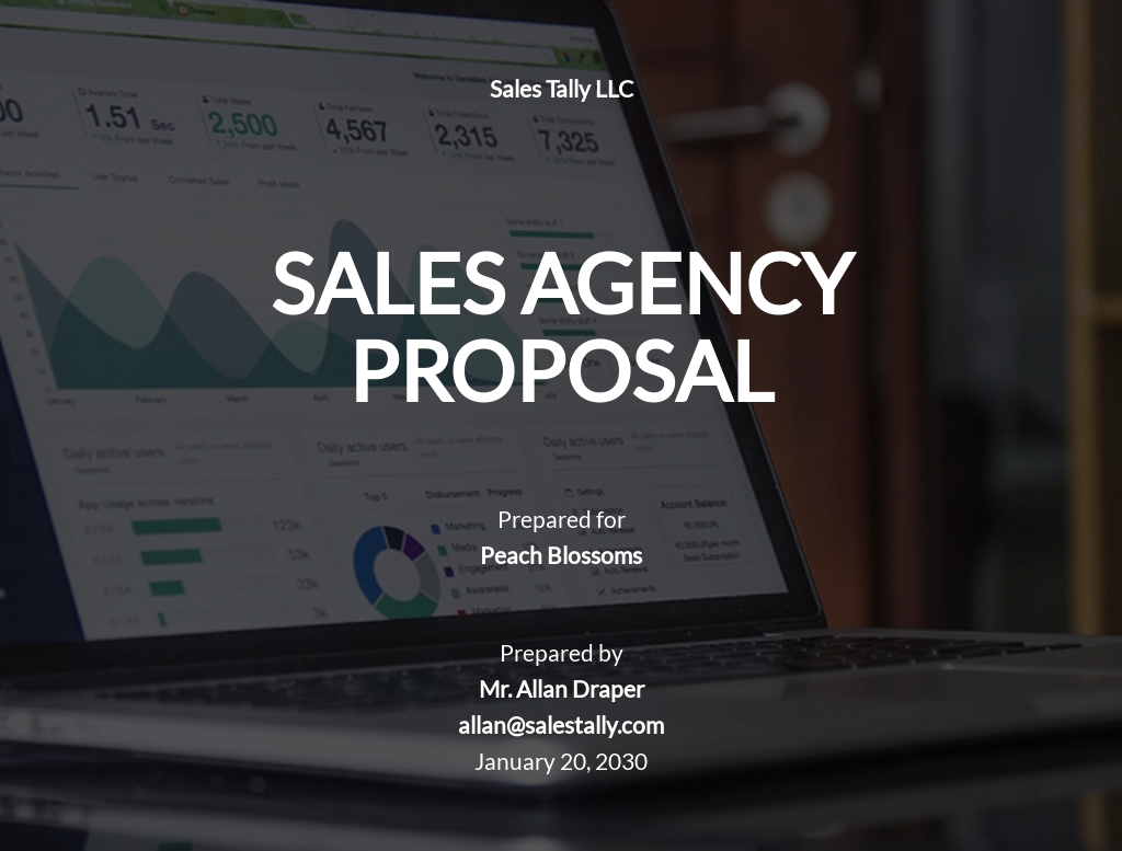 Sales Agency Proposal Template.jpe
