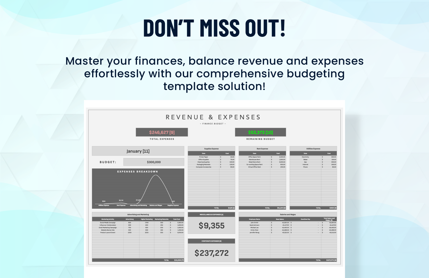 Finance Revenue and Expense Budget Template