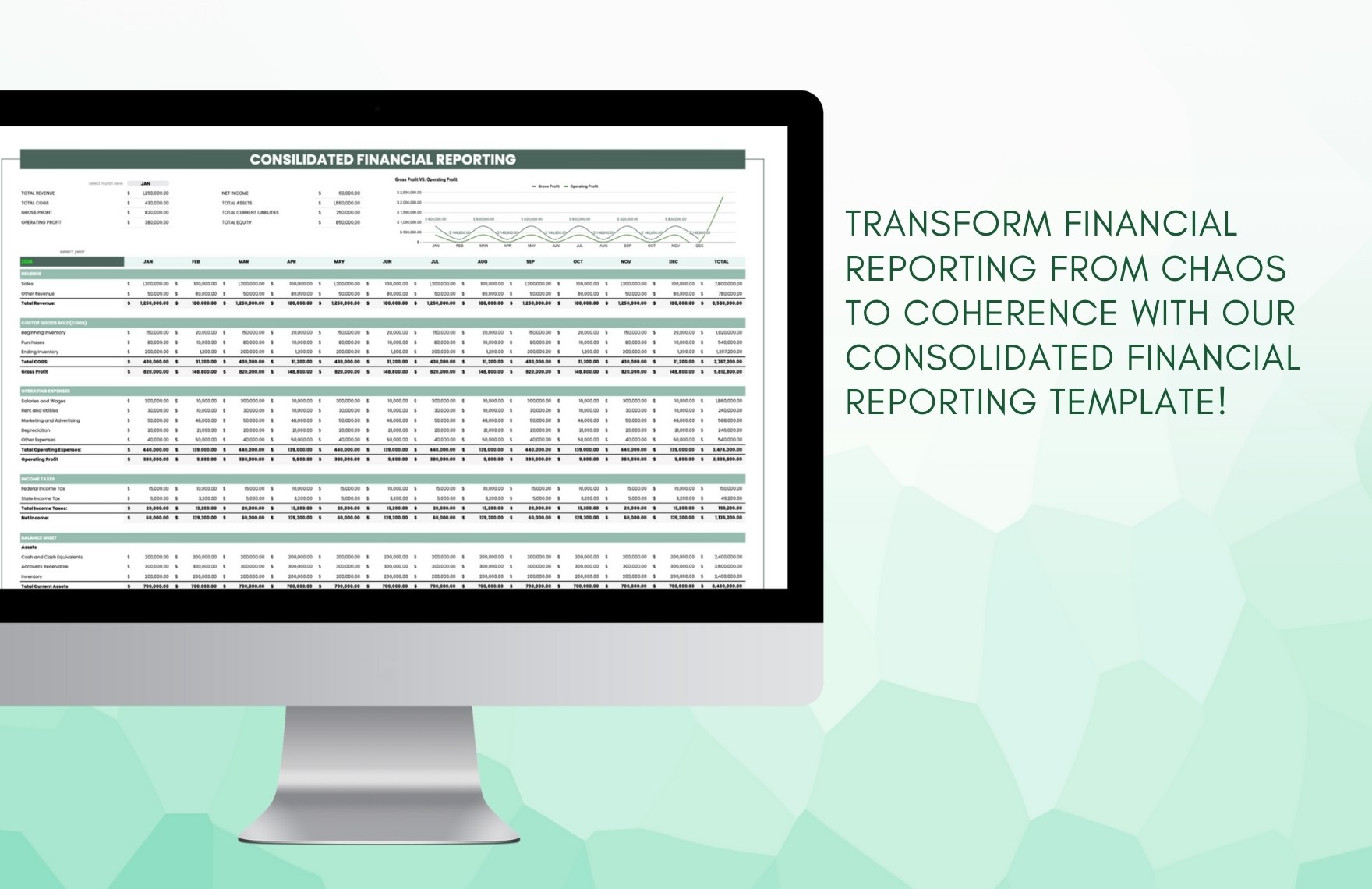 Consolidated Financial Reporting Template