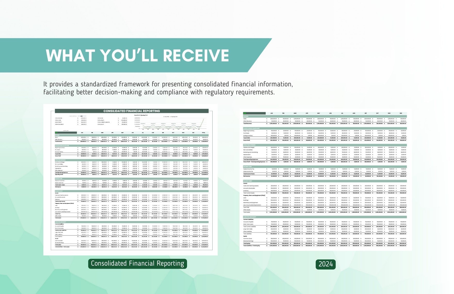 Consolidated Financial Reporting Template