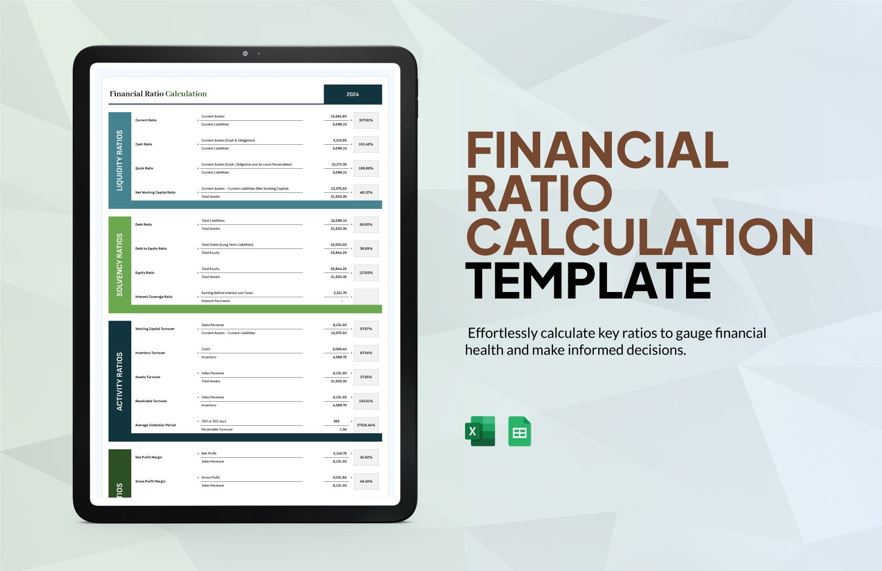 Financial Ratio Calculation Template in Excel, Google Sheets