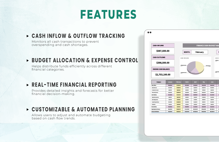 Finance Cash Budget Management Template