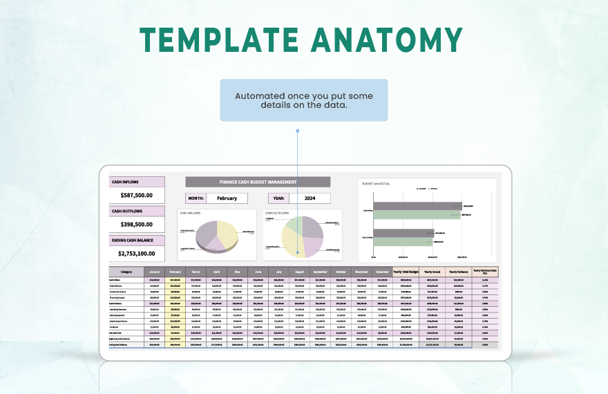 Finance Cash Budget Management Template