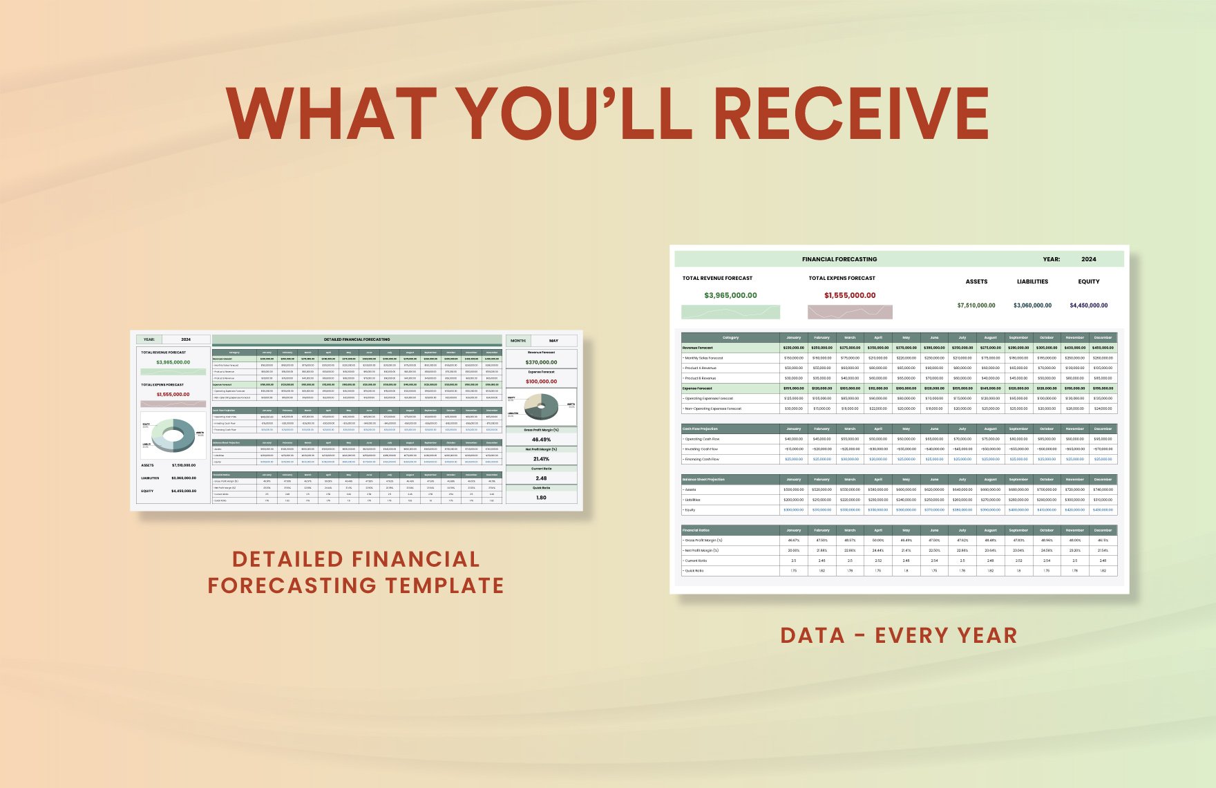 Detailed Financial Forecasting Template