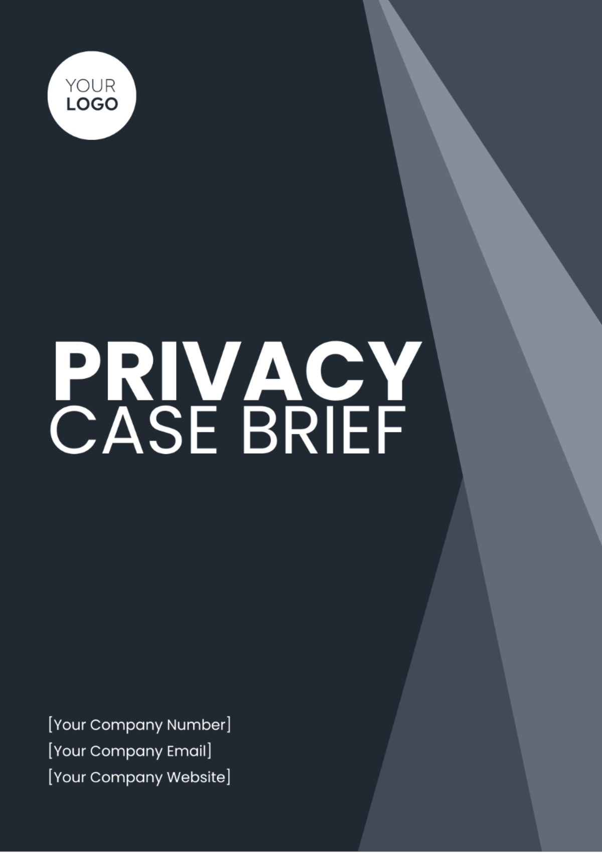 Free Privacy Case Brief Template