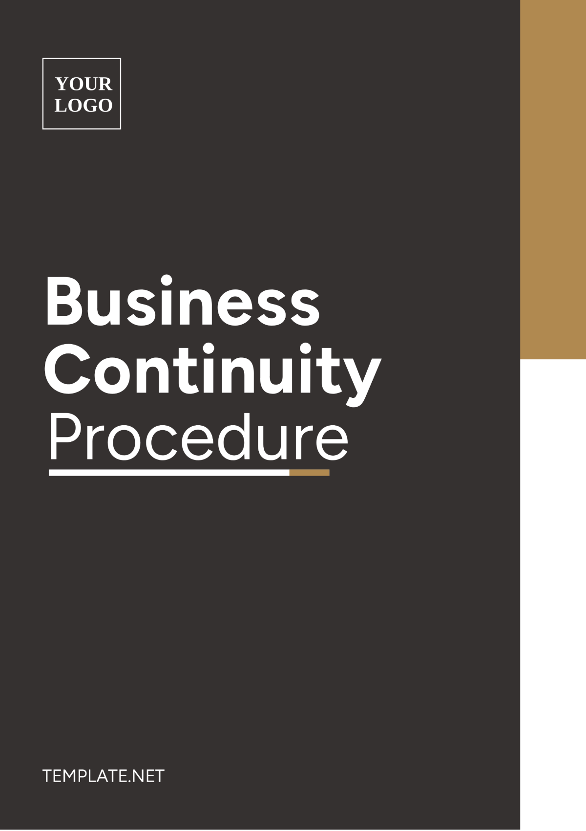 Free Business Continuity Procedure Template