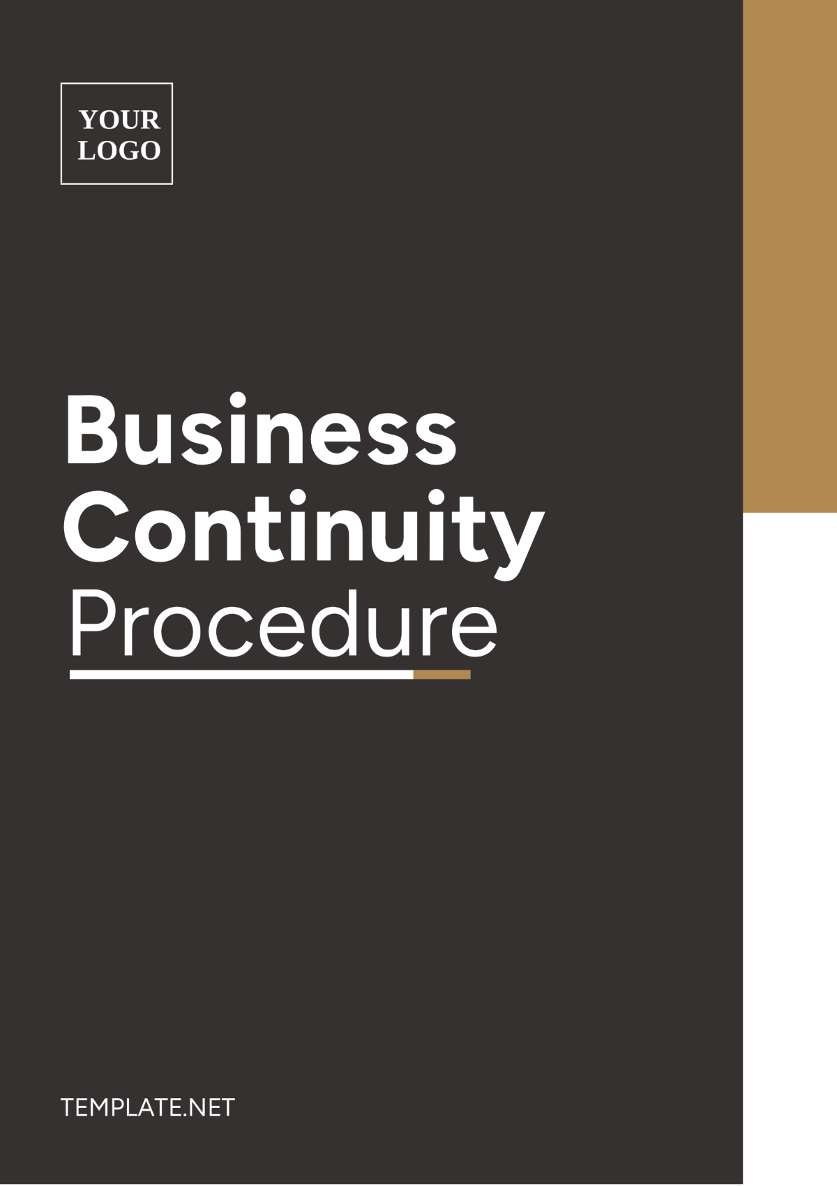 Business Continuity Procedure Template