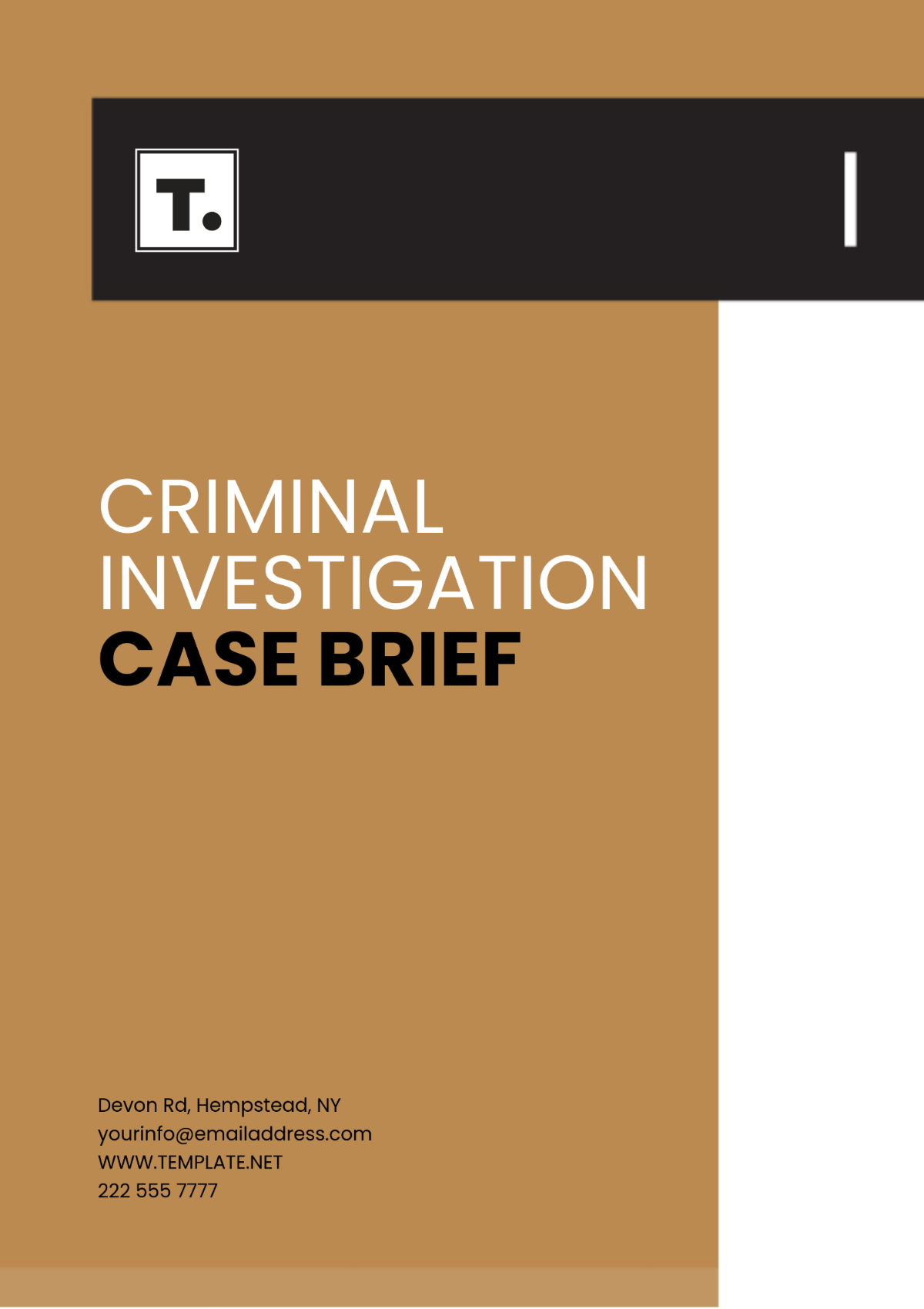 Criminal Investigation Case Brief Template - Edit Online & Download