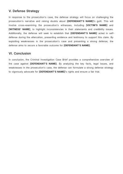 Free Criminal Investigation Case Brief Template to Edit Online