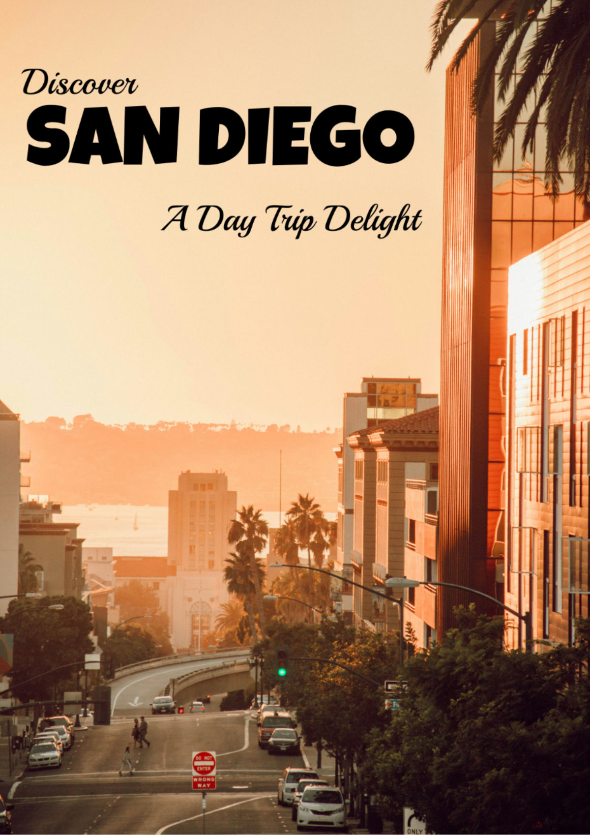 San Diego Day Trip Itinerary Template - Edit Online & Download