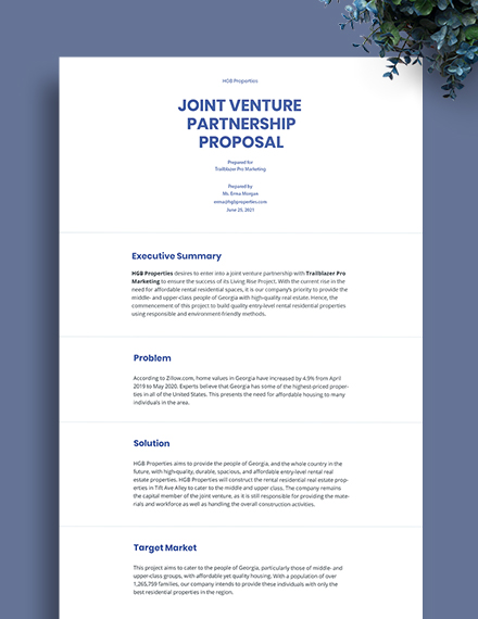 business plan joint venture proposal