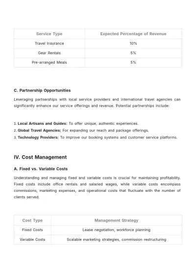 Free Travel Agency Financial Strategy Template to Edit Online