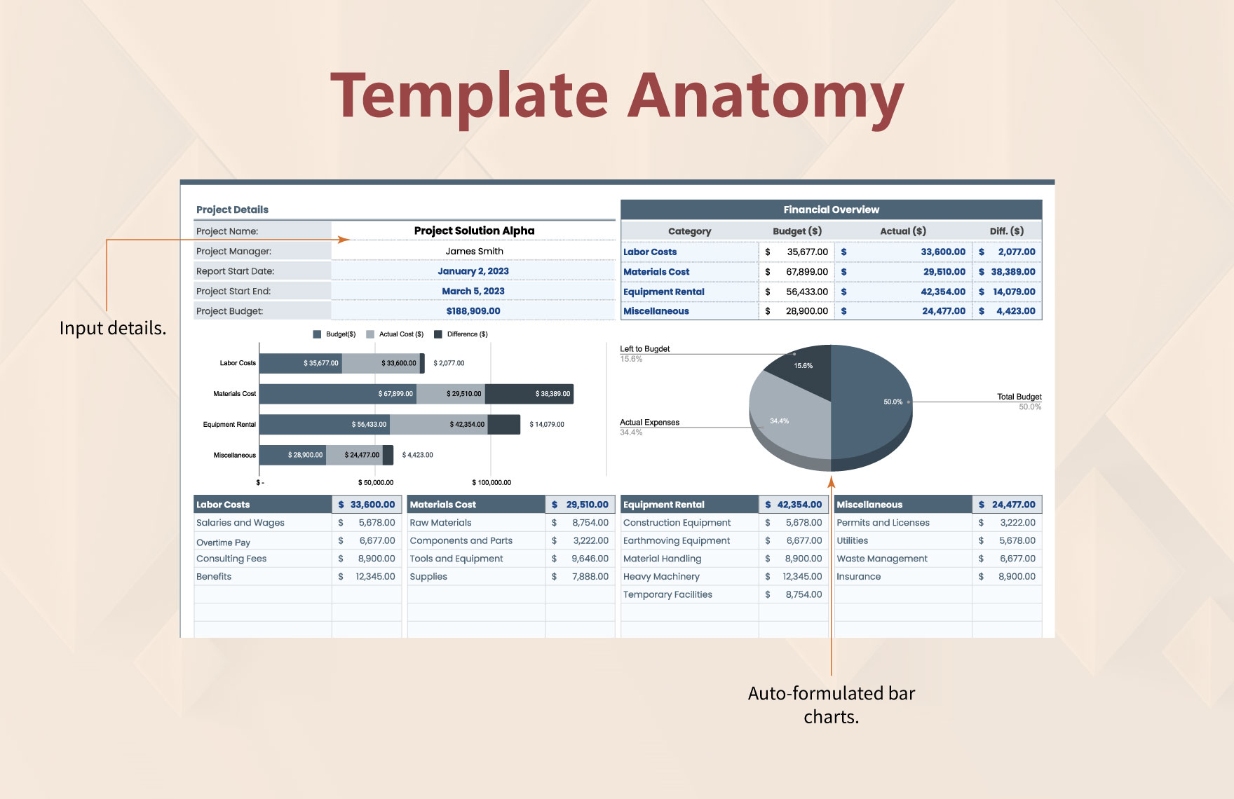 Project Financial Reporting Template
