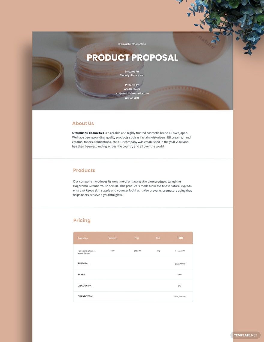 Professional Product Proposal Template