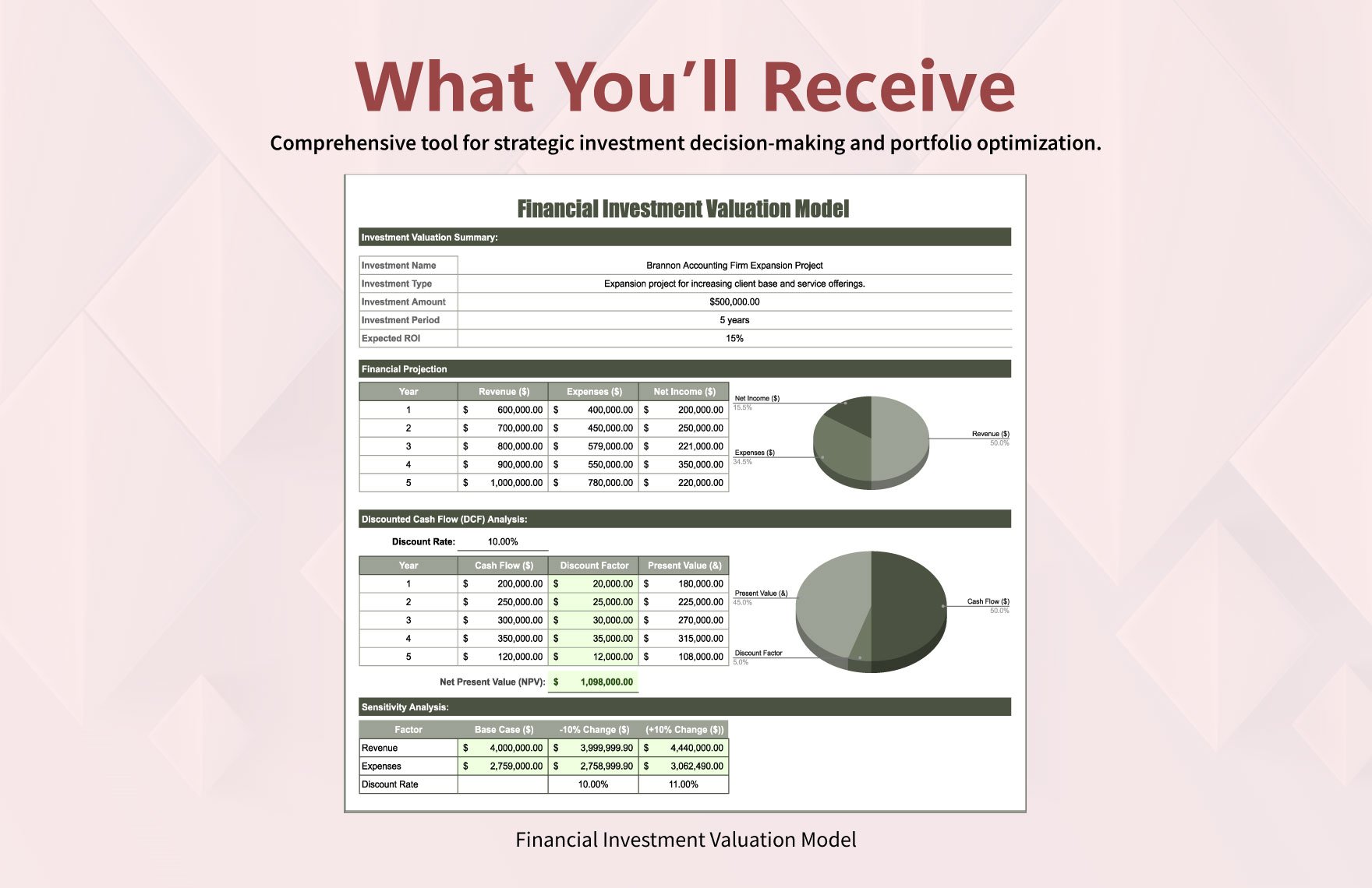 Financial Investment Valuation Model Template
