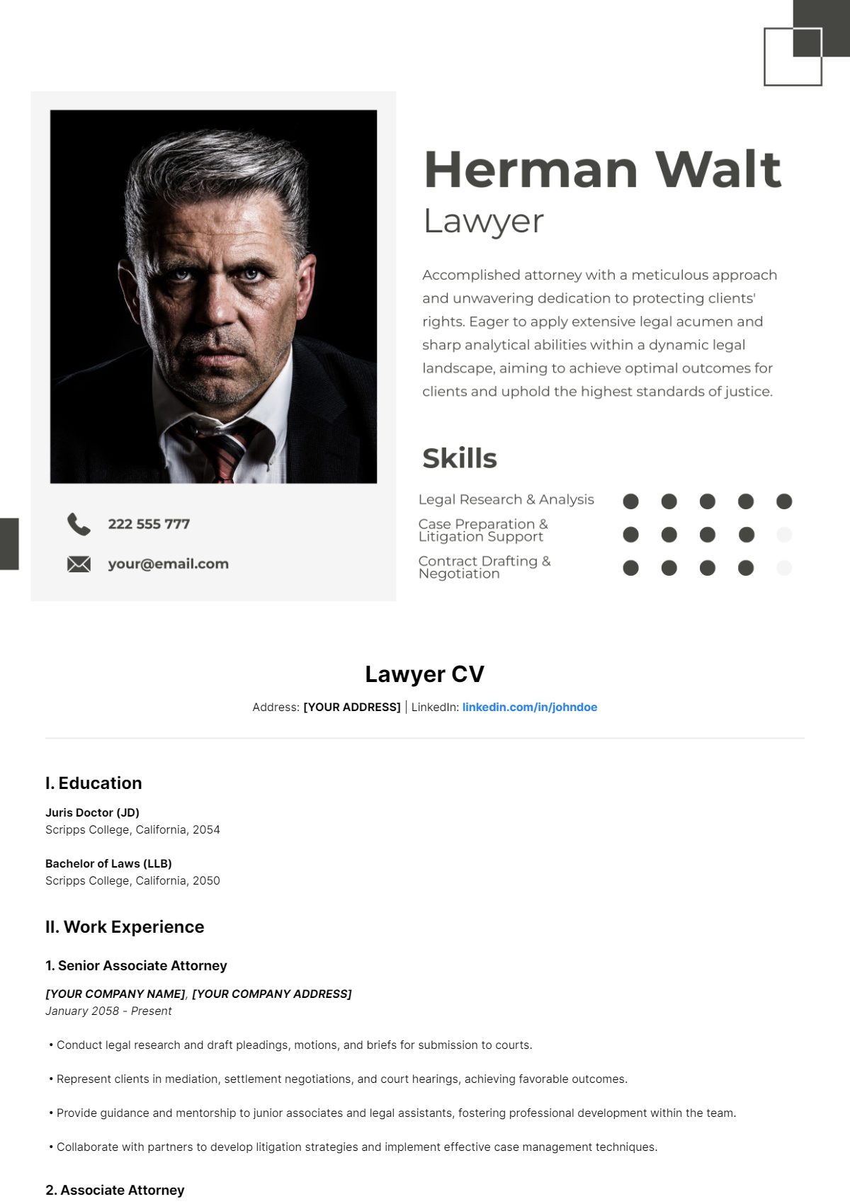 Lawyer CV Template - Edit Online & Download