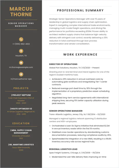 Free Experienced ATS CV Template, AI CV Builder