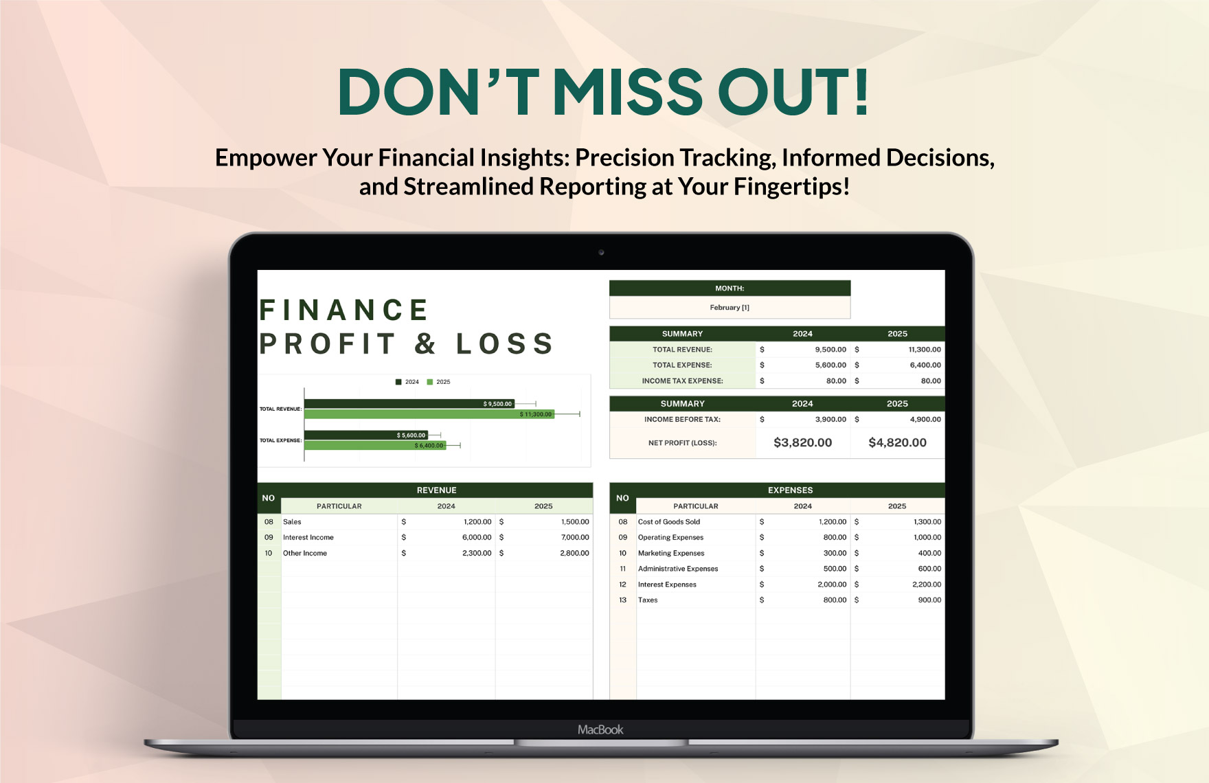 Finance Profit and Loss Report Template