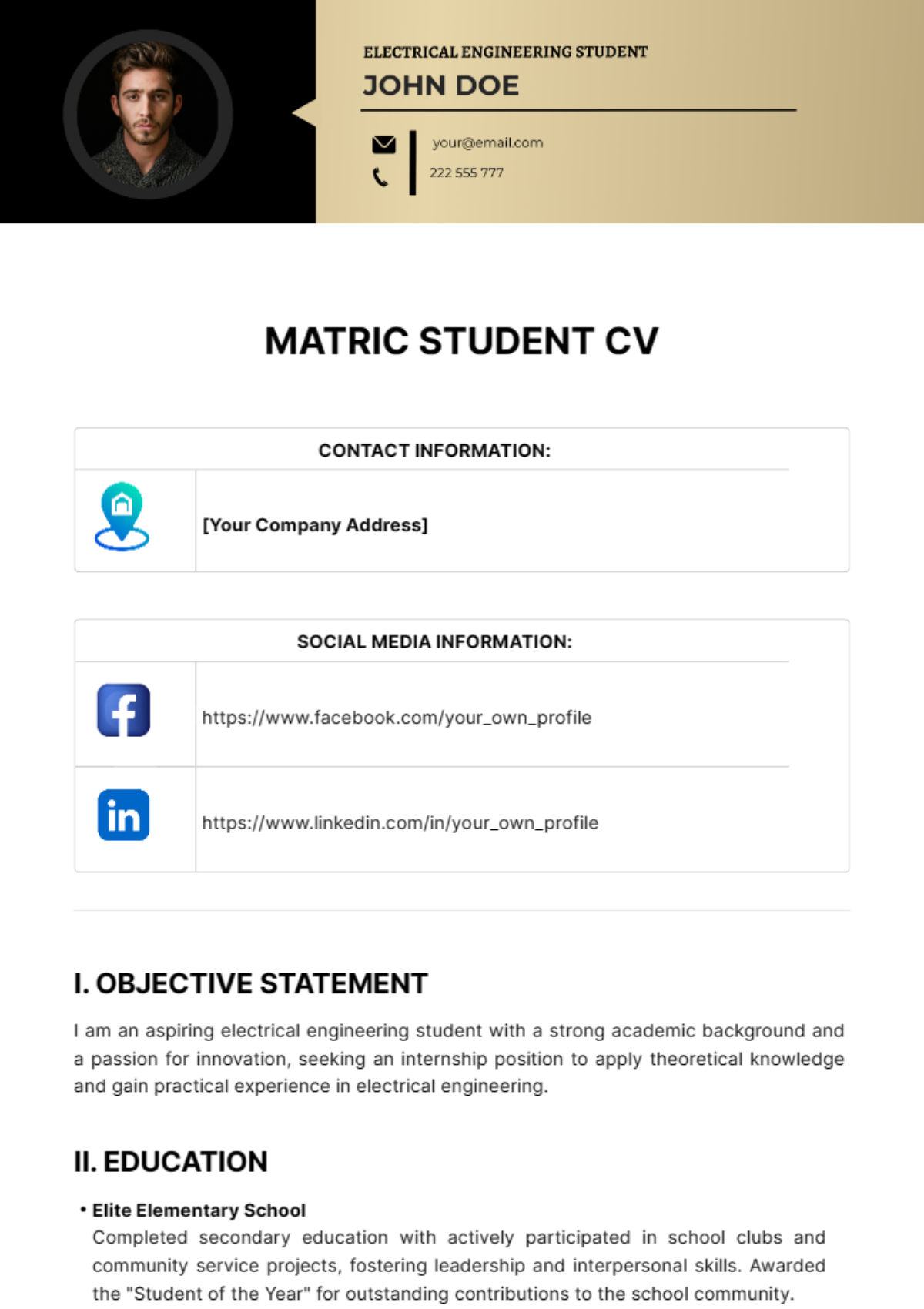 Free Matric Student CV Template
