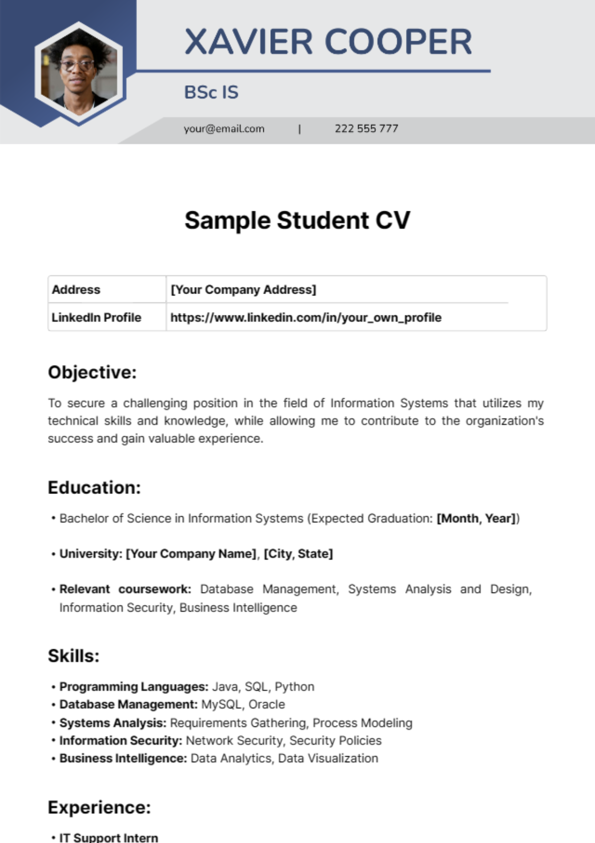 Free Sample Student CV Template