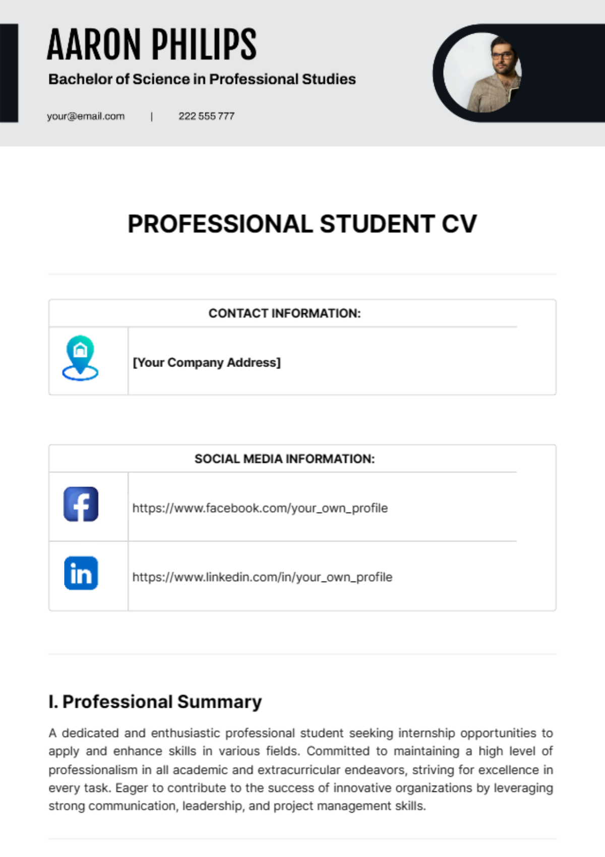 Free Professional Student CV Template